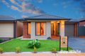 Property photo of 3 Echinacea Street Truganina VIC 3029