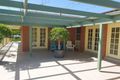 Property photo of 21 Beech Street Muswellbrook NSW 2333
