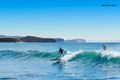 Property photo of 11 Coutts Crescent Collaroy NSW 2097