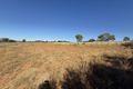 Property photo of 9 Kinlyside Close Young NSW 2594