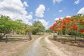 Property photo of 538 Mount Martin Loop Road Mount Martin QLD 4754