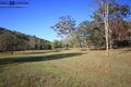 Property photo of LOT 251 Armidale Road Blaxlands Creek NSW 2460