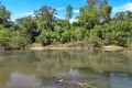 Property photo of 351 Orara Road Lanitza NSW 2460