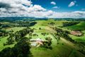 Property photo of 591 Shephards Road Bielsdown Hills NSW 2453