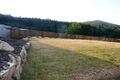 Property photo of 42 Felling Drive Maudsland QLD 4210