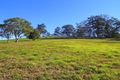 Property photo of 10 Darkwood Road Thora NSW 2454