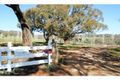Property photo of 2013 Cargo Road Lidster NSW 2800