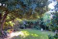 Property photo of 23 Peter Street Banora Point NSW 2486