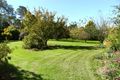 Property photo of 64 Greta Road Kulnura NSW 2250