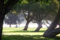 Property photo of 45 Canning Highway South Perth WA 6151