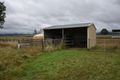 Property photo of 81 Burns Road Caveside TAS 7304