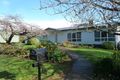 Property photo of 759 Circular Road East Ridgley TAS 7321