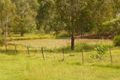 Property photo of 202 Crosswells Road Pine Creek QLD 4670