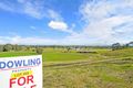 Property photo of 7 Binns Street Raymond Terrace NSW 2324