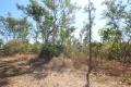 Property photo of 95 Erickson Crescent Wagait Beach NT 0822