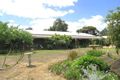 Property photo of 25 Outside Court Teesdale VIC 3328
