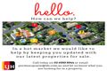 Property photo of 6 Dianella Road Port Macquarie NSW 2444