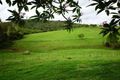 Property photo of 142 Mahons Road Pine Mountain QLD 4306