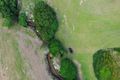 Property photo of 445 Gray Road Green Hill QLD 4865