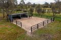 Property photo of 11 Longwood-Ruffy Road Longwood East VIC 3666