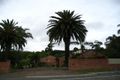 Property photo of 6/29-33 Wilsons Road Mount Hutton NSW 2290