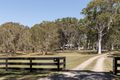 Property photo of 12 Win Road Peregian Beach QLD 4573
