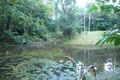 Property photo of 349 Black Mountain Road Kuranda QLD 4881