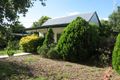 Property photo of 17 Croft Street Trundle NSW 2875