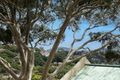 Property photo of 28 View Street Woollahra NSW 2025