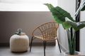 Property photo of 29/79 Liverpool Road Burwood NSW 2134