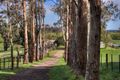 Property photo of 170 Caspers Access Forrest VIC 3236