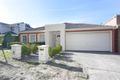 Property photo of 84 Callaghan Avenue Glen Waverley VIC 3150