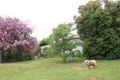 Property photo of 6574 Mid Western Highway Lyndhurst NSW 2797