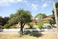 Property photo of 23 McGilp Avenue Glengowrie SA 5044