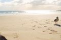 Property photo of 701/13 Haig Street Coolangatta QLD 4225