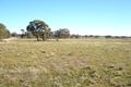 Property photo of 343 Timor Road Bowenvale VIC 3465
