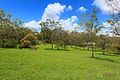 Property photo of 46 Rafting Ground Road Brookfield QLD 4069