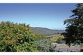 Property photo of 747 Grasstree Hill Road Grasstree Hill TAS 7017