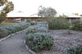 Property photo of 18 South Avenue Bordertown SA 5268