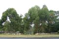 Property photo of 71 Appletree Drive Cherrybrook NSW 2126