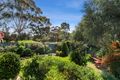 Property photo of 80A Grandview Road Torquay VIC 3228