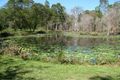Property photo of 217 Wahpunga Lane Kin Kin QLD 4571