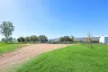 Property photo of 98 Middlebrook Road Scone NSW 2337