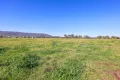 Property photo of 98 Middlebrook Road Scone NSW 2337
