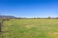 Property photo of 98 Middlebrook Road Scone NSW 2337
