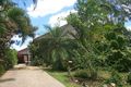 Property photo of 3 Oleander Street Mullumbimby NSW 2482