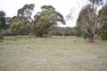 Property photo of 3 Forest Court Enfield VIC 3352
