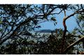 Property photo of 10 Ocean View Drive Zilzie QLD 4710