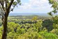 Property photo of 25 Gordon Crescent Withcott QLD 4352