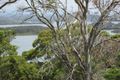 Property photo of 23 Trafalgar Road Tuross Head NSW 2537